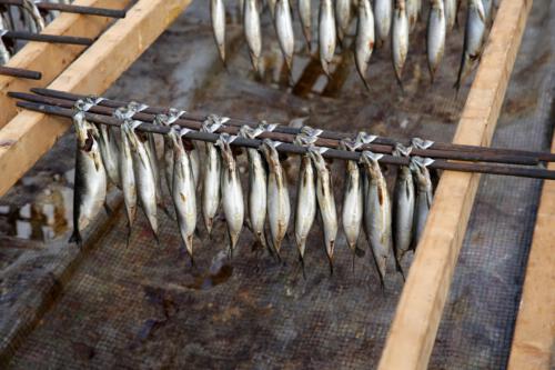 visserijdag spakenburg met shanty ahoy   7--9--2019 154-ts1568546258